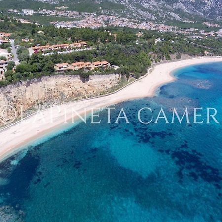Casa Vacanza Gelsomino กาลาโกโนเน ภายนอก รูปภาพ