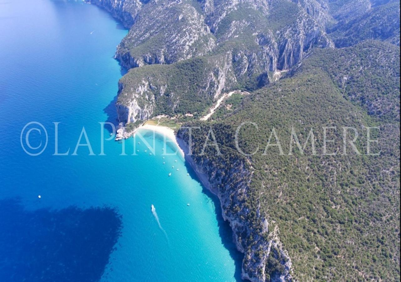 Casa Vacanza Gelsomino กาลาโกโนเน ภายนอก รูปภาพ