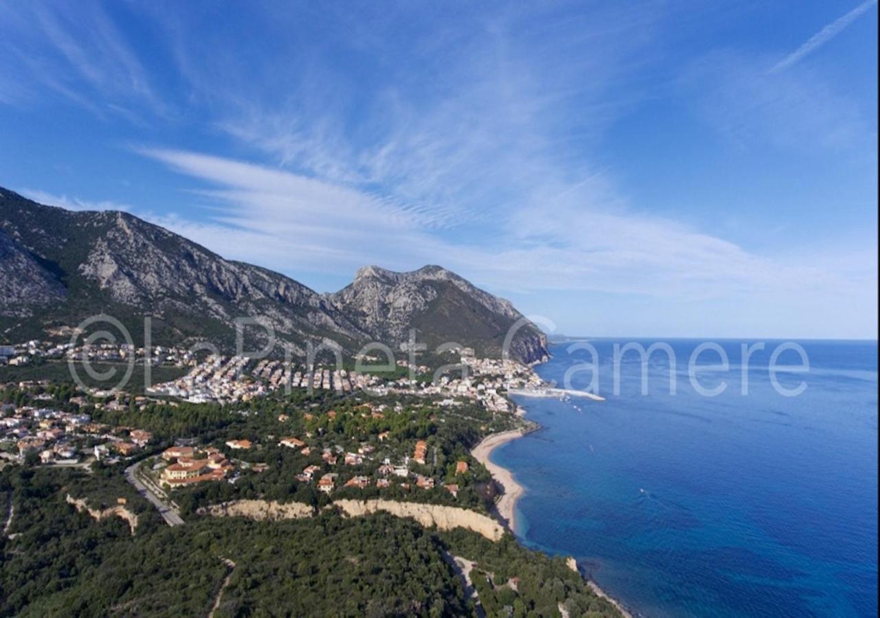 Casa Vacanza Gelsomino กาลาโกโนเน ภายนอก รูปภาพ
